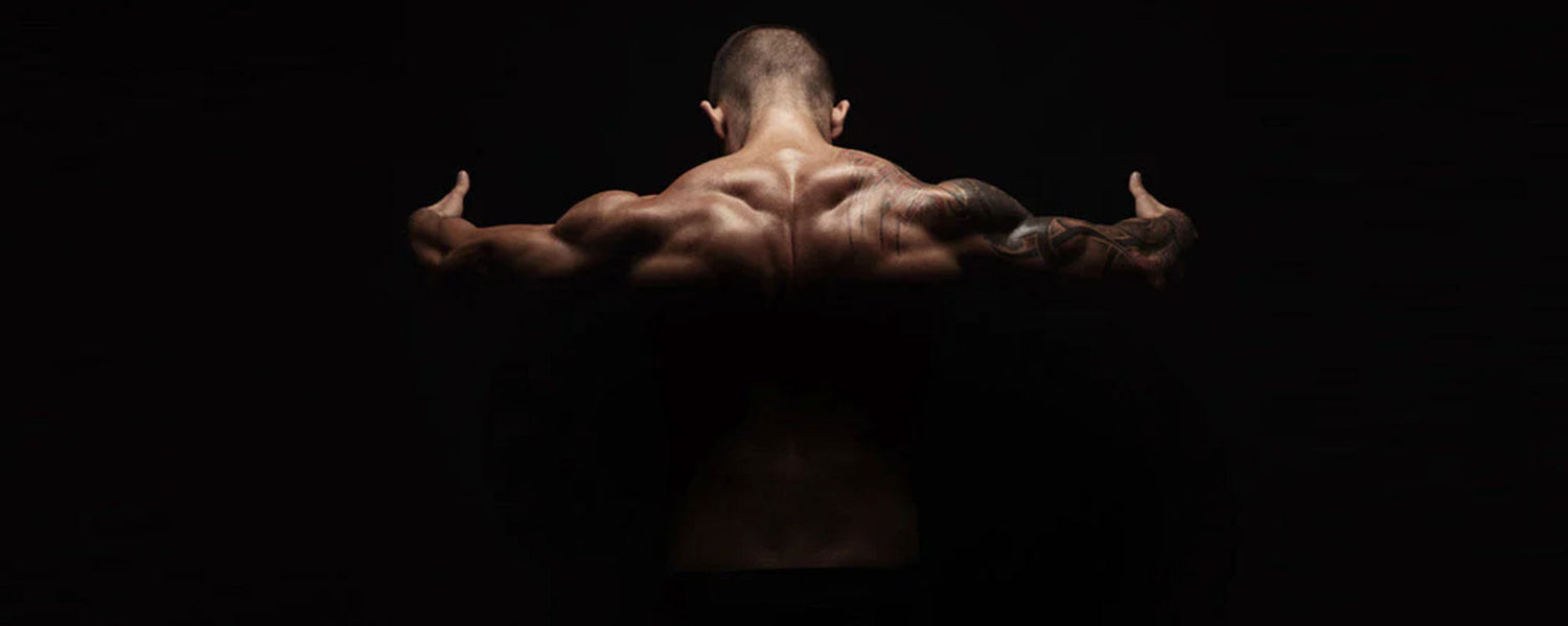 5 Neck Strengthening Workouts Boxer Can Do to Get a Strong Neck