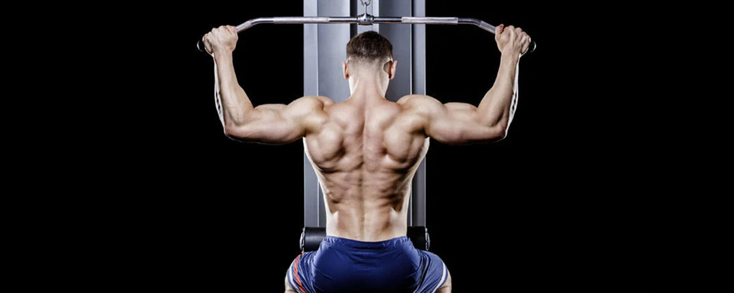 Best Back Workouts to Get Lean and Shredded