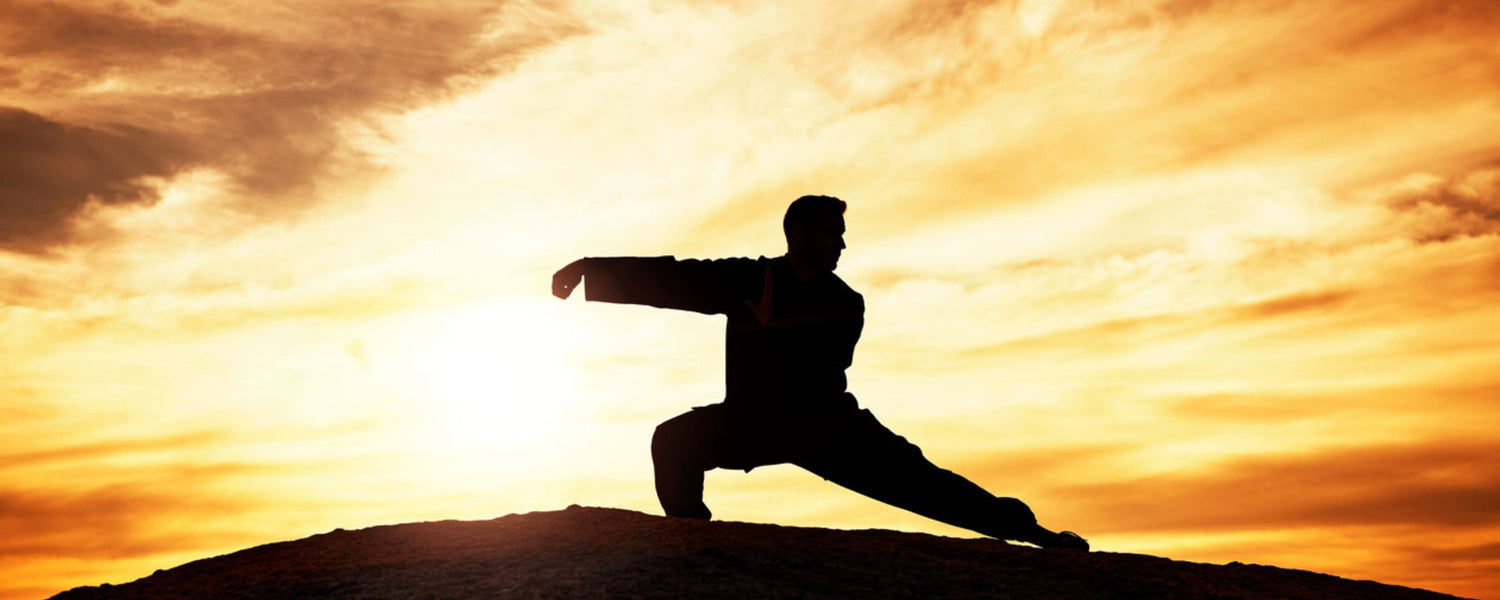 can-martial-arts-keep-a-balance-in-your-life