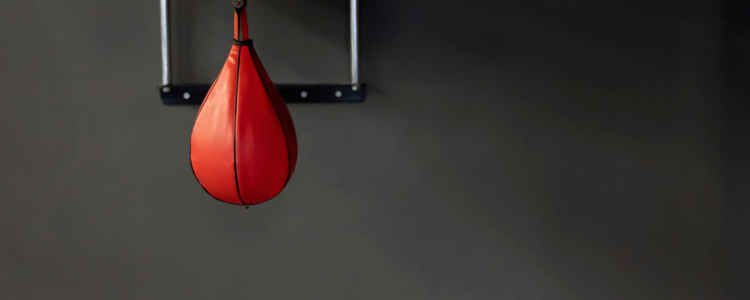 how-to-master-speed-bag-training-why-should-you-do-it
