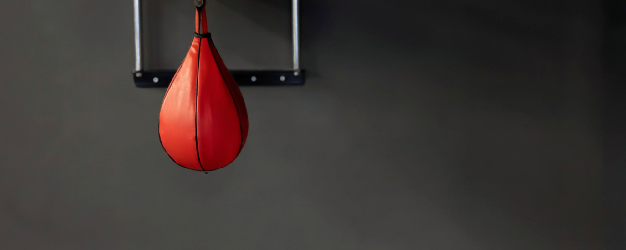 how-to-master-speed-bag-training-why-should-you-do-it