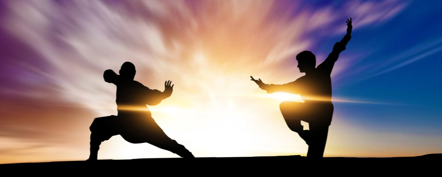 spoiler-alert-most-famous-martial-arts-films-you-should-watch