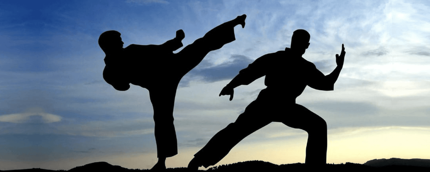 Top 10 Deadliest Martial Arts in the World