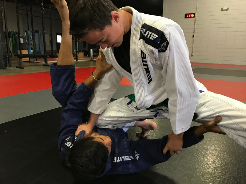 Team Elite Fighter