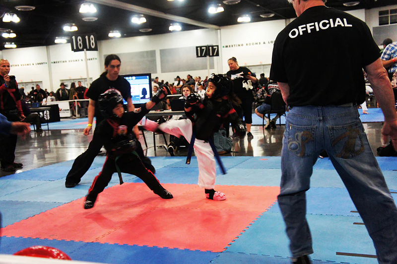 Team Elite Fighter