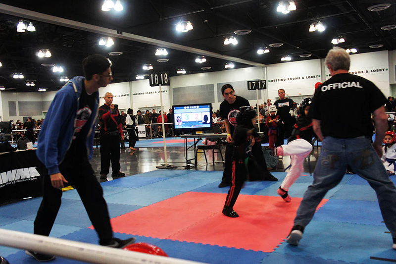 Team Elite Fighter