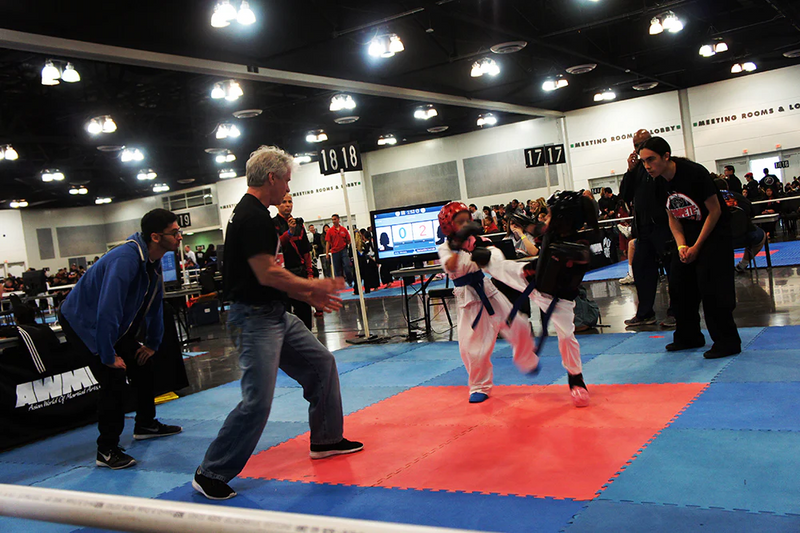 Team Elite Fighter