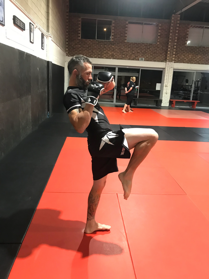 Team Elite Fighter