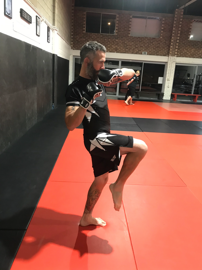 Team Elite Fighter