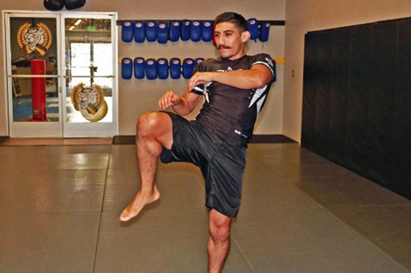 Team Elite Fighter