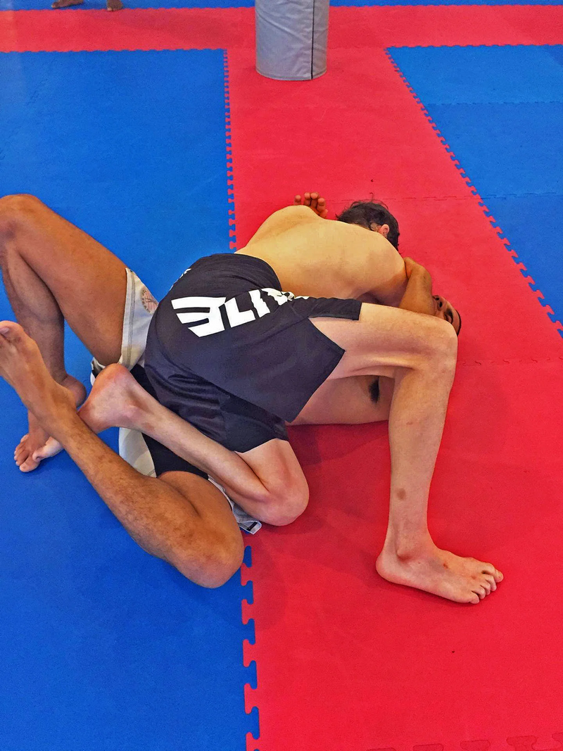 Team Elite Fighter