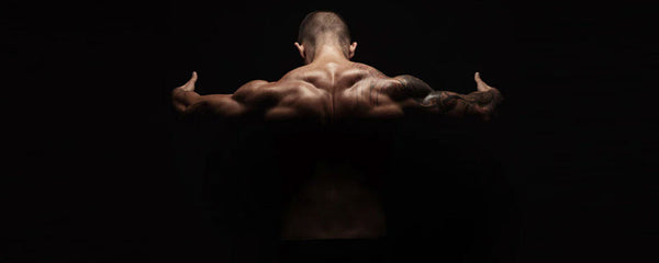 5 Neck Strengthening Workouts Boxer Can Do to Get a Strong Neck