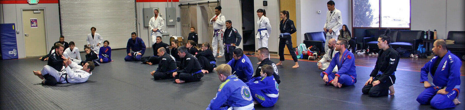 Beginner's Guide to BJJ: What It Is and Why Should You Start BJJ?