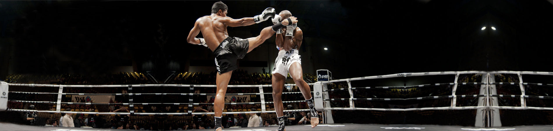 Top 6 Muay Thai Fighting Styles You Will Encounter