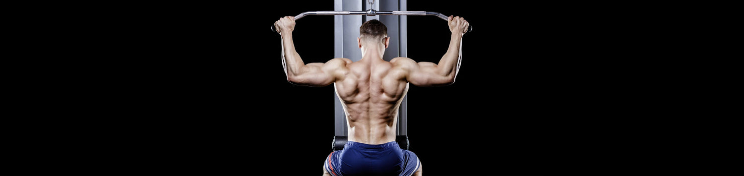 Best Back Workouts to Get Lean and Shredded