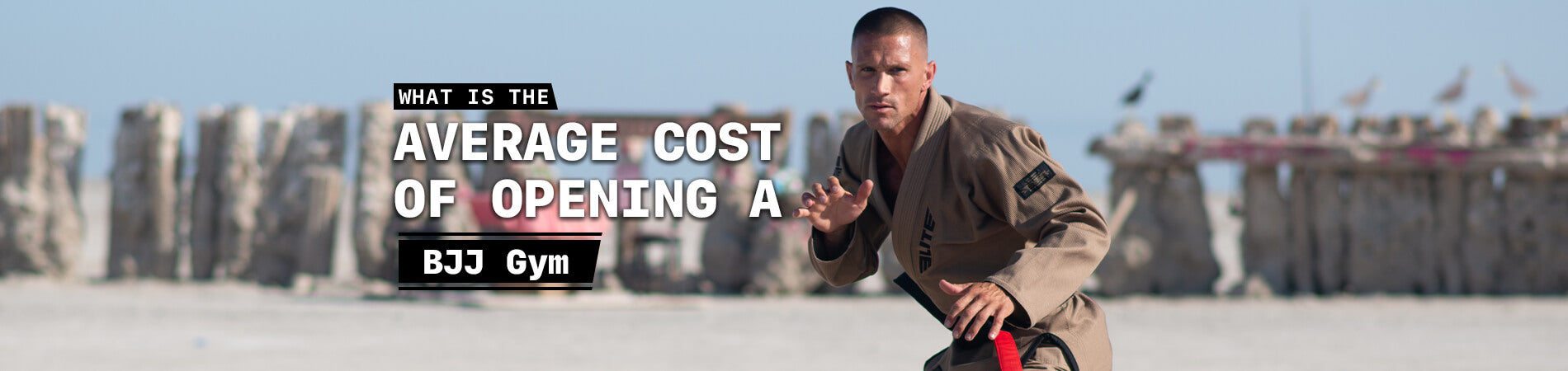 How Much Does It Cost to Set Up a BJJ Gym in the United States?