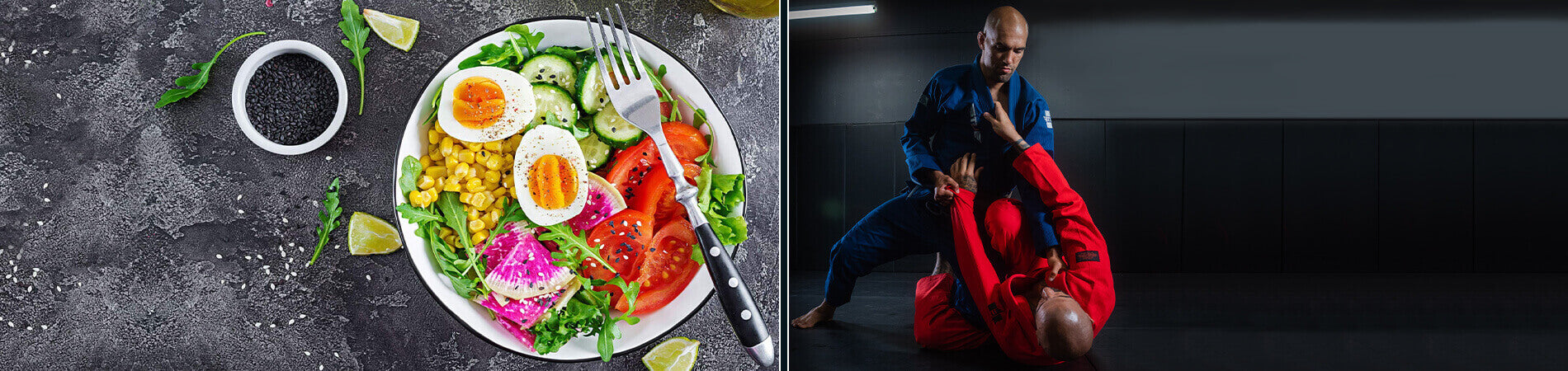 Keto Vs Paleo Vs Low-Carb: Which Diet is Better for BJJ Athletes