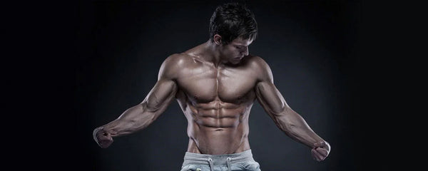 One Line Ab Build Best Beginner Ab Workout: How To Build Abs of Steel