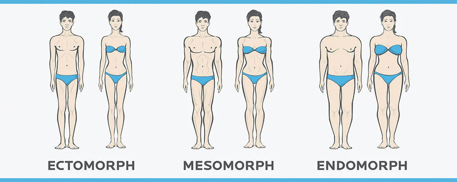 Body Types & Jiu-Jitsu – Advantages and Disadvantages