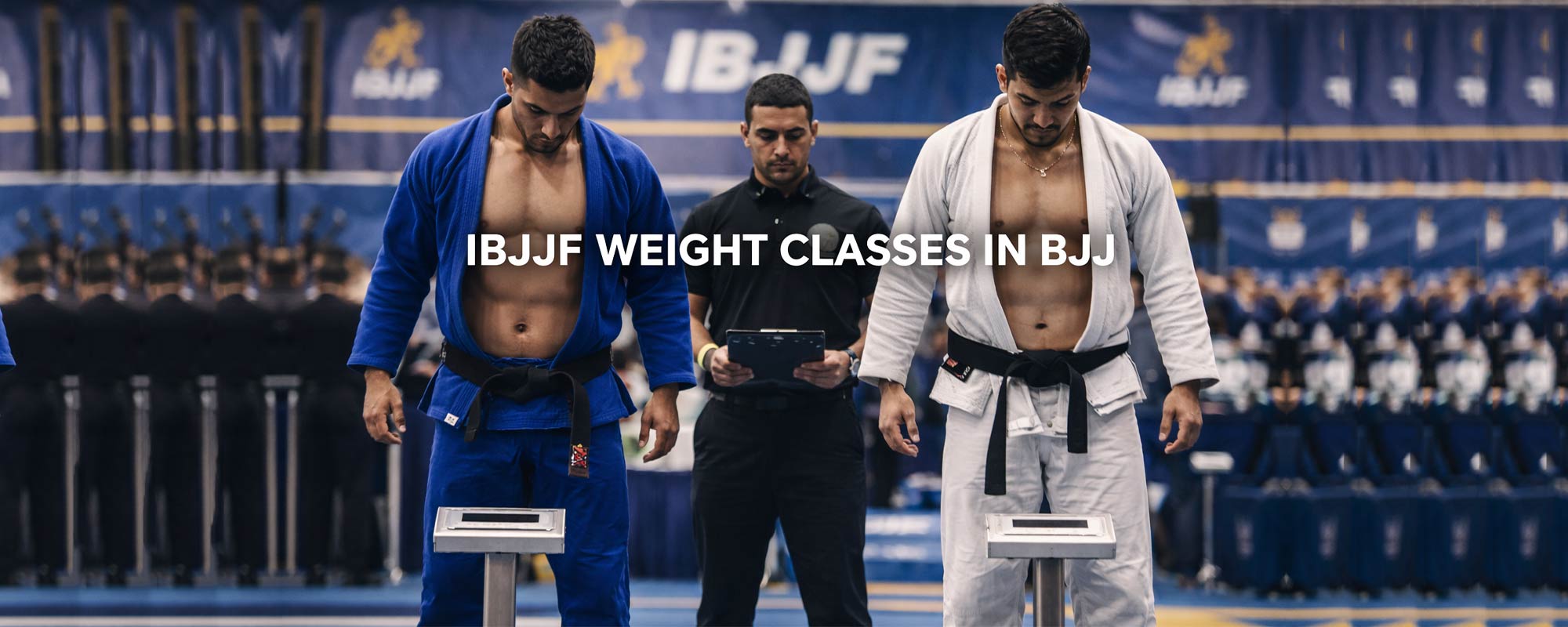 A Complete Guide to IBJJF Weight Classes in BJJ