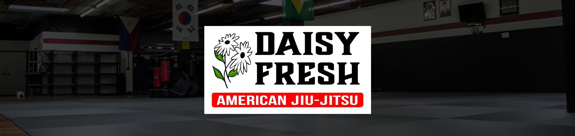 What You Need To Know About Daisy Fresh BJJ