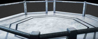 Most Frequently Asked Questions About UFC: Guide to Basics - Elite Sports
