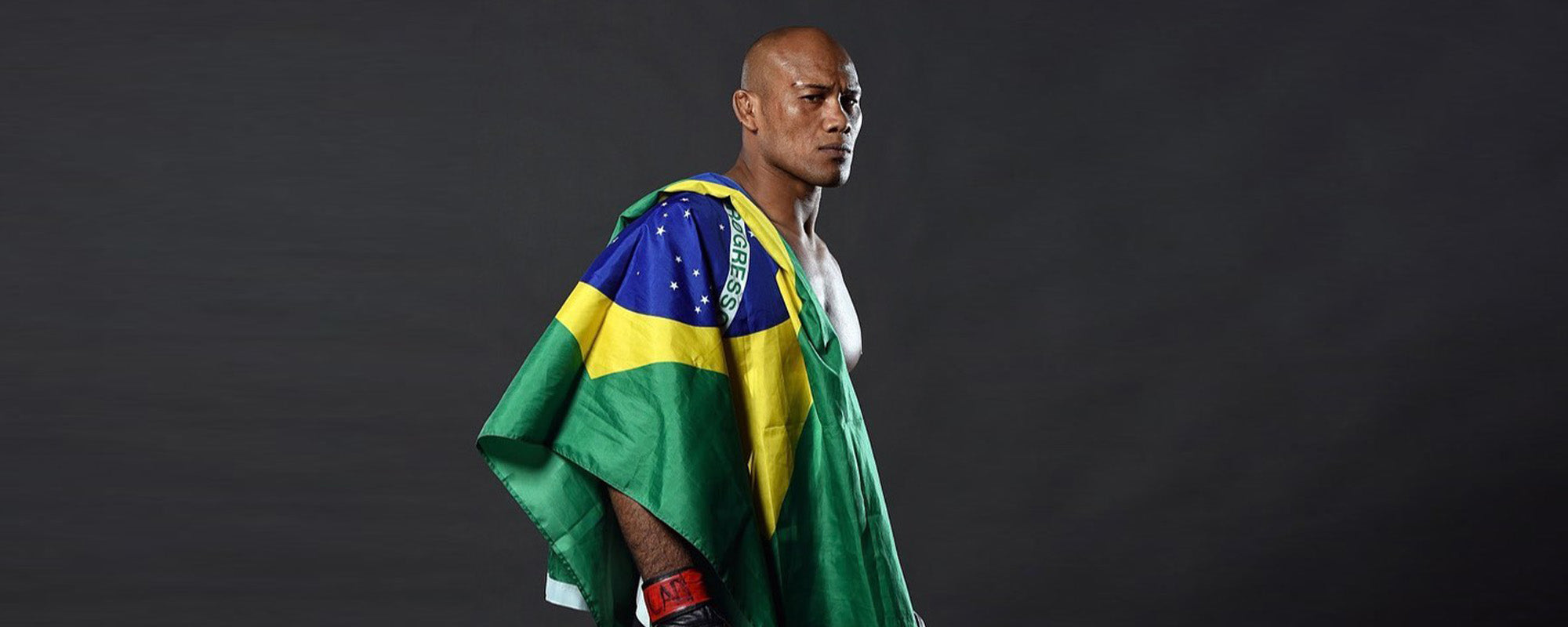Ronaldo Souza - A Fierce MMA Beast & 4th Degree BJJ Black Belt