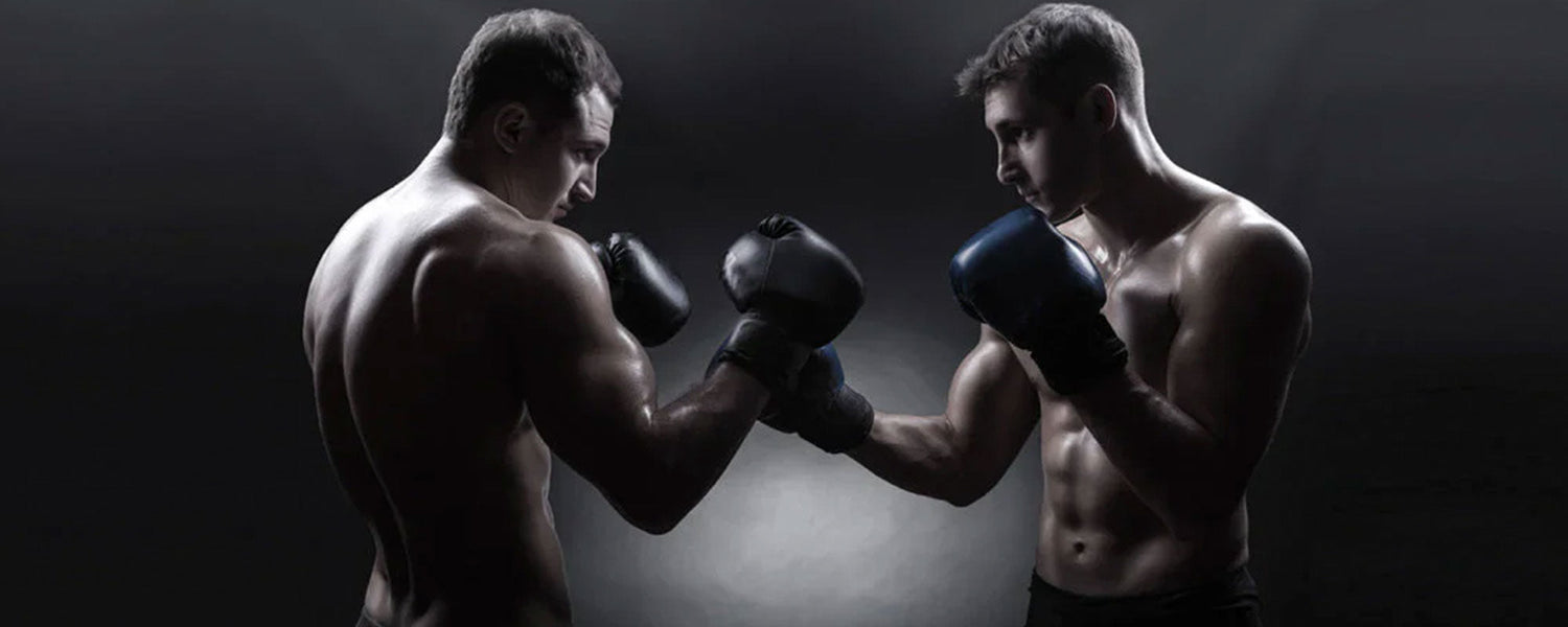 Common Myths About Punching Gloves You Should Stop Believing Common Myths About Punching Gloves You Should Stop Believing