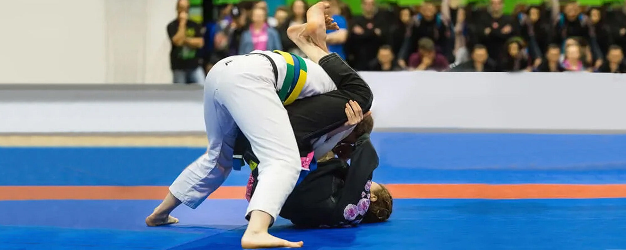 What Are the Yellow and Green Belts In BJJ?