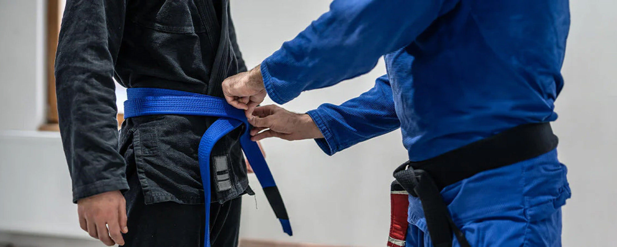 What is the Price of a BJJ Belt Promotion?