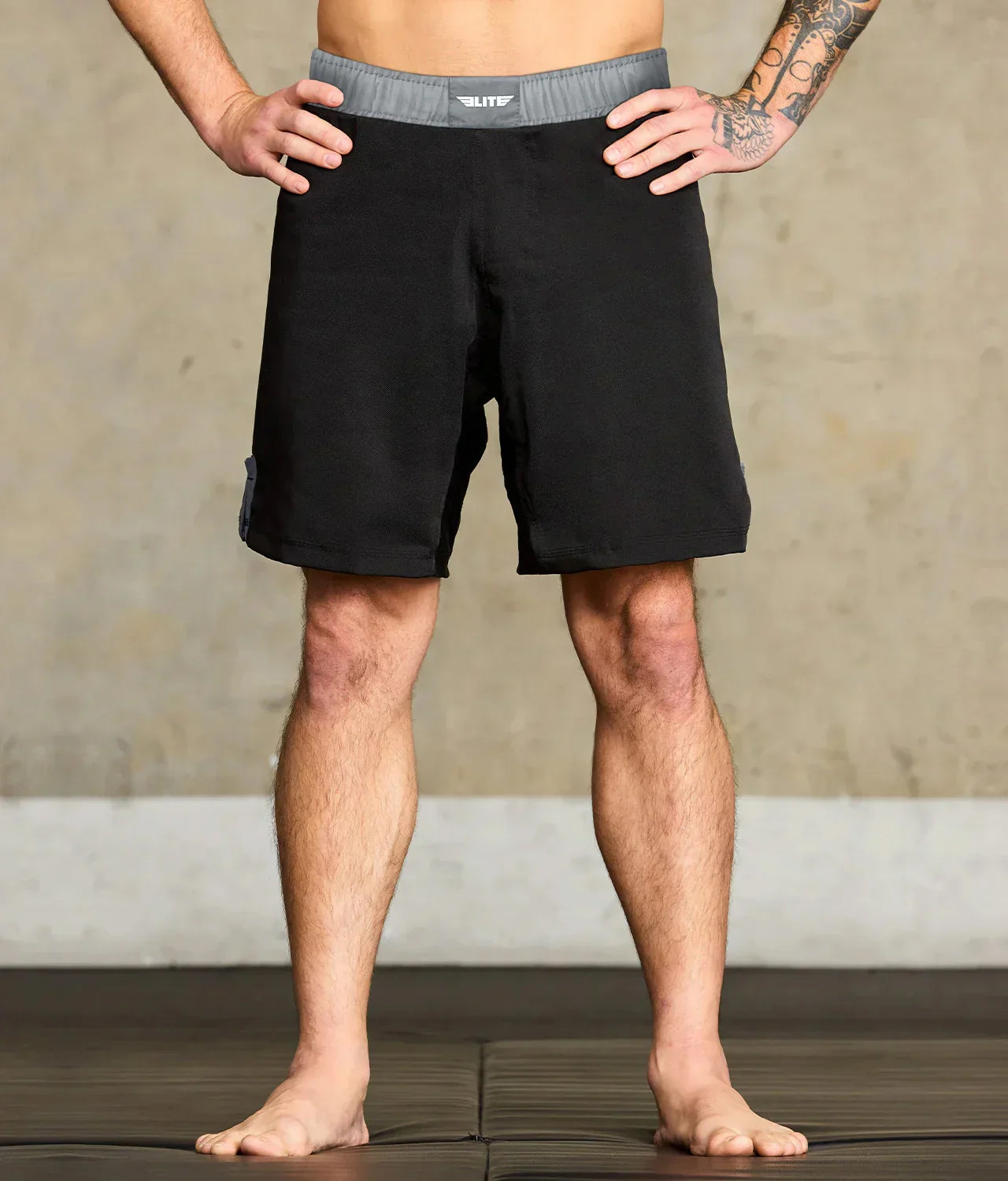 black jack series gray adults jiu jitsu shorts