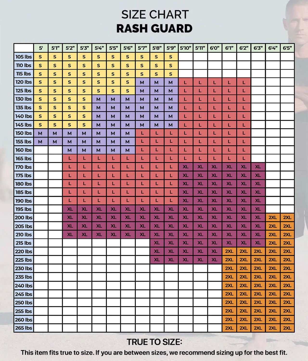 standard purple short sleeve mens bjj rashguard size chart