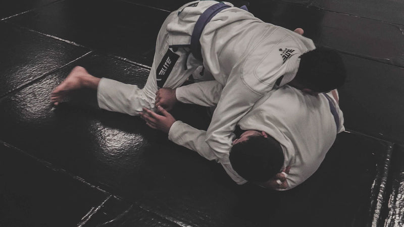 Team Elite Fighter