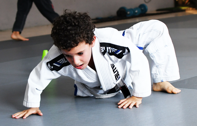 Team Elite Fighter