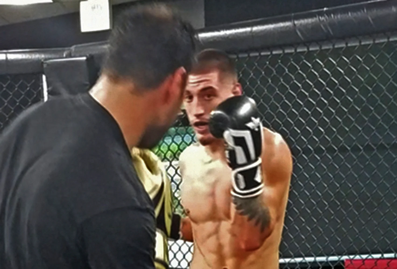 Team Elite Fighter