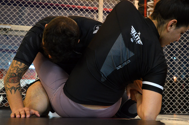Team Elite Fighter